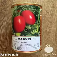 فروش بذر گوجه فرنگی مارول در بوشهر در گروه خرید و فروش بذر گوجه در یکمیوه