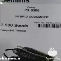 قیمت خرید بذر خیار فضای باز در گروه خرید و فروش بذر خیار در یکمیوه