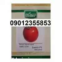 بذر گوجه فرنگی ثمین پرفروش اصل در گروه خرید و فروش گوجه فرنگی در یکمیوه