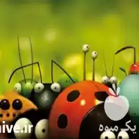 قیمت خرید 	آموزش مشاغل جدید پرورش در قزوین در گروه خرید و فروش زنبورعسل در یکمیوه