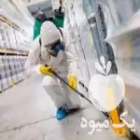 سمپاشی منزل ادارات محل کار رستوران در گروه خدمات باغبانی در یکمیوه