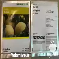 قیمت خرید پخش بذر ملون بشرا در گروه خرید و فروش بذر ملون در یکمیوه