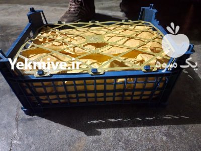 شلیل شمس گلابی در قزوین در گروه خرید و فروش شلیل در یکمیوه -عکس2