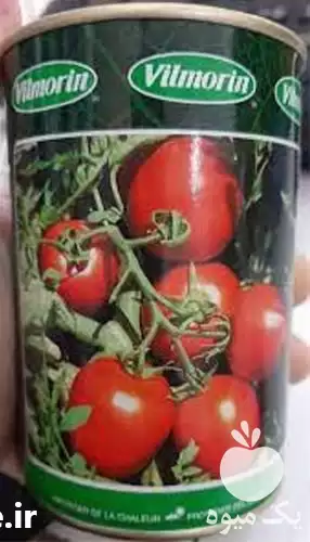 فروش بذر گوجه فرنگی ویلمورین در گروه خرید و فروش بذر گوجه در یکمیوه -عکس1