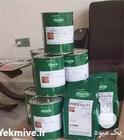 فروش بذر هویج پریستو در شیراز در گروه خرید و فروش بذر هویج در یکمیوه -عکس1