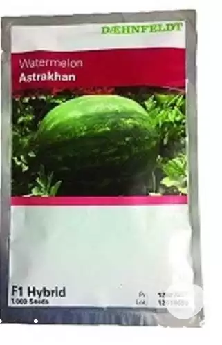 قیمت خرید بذر هندوانه آستاراخان در گروه خرید و فروش بذر هندوانه در یکمیوه -عکس1