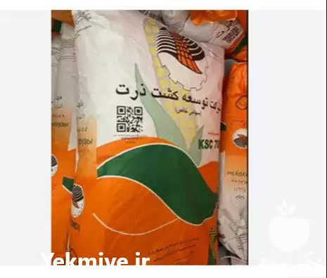 قیمت خرید بذر ذرت هیبرید سینگل در ارومیه در گروه خرید و فروش بذر ذرت در یکمیوه -عکس1