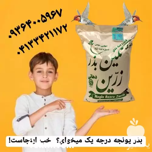 فروش بذر یونجه با ارسال سراسری در شیراز در گروه خرید و فروش بذر یونجه در یکمیوه -عکس1