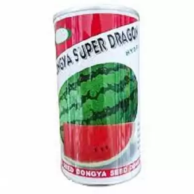 فروش عرضه بذر هندوانه دراگون در مشهد در گروه خرید و فروش بذر هندوانه در یکمیوه -عکس1