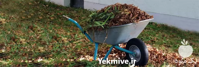 فروش خاکغچه کود گاوی در تهران در گروه انواع محصولات خاک و تغذیه در یکمیوه -عکس1