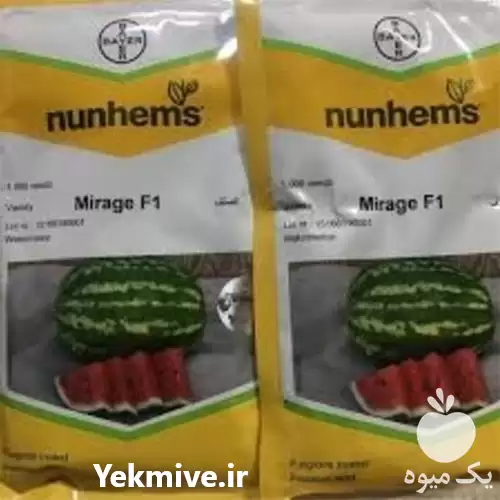 قیمت خرید بذر هندوانه میراژ رشد در اهواز در گروه خرید و فروش بذر هندوانه در یکمیوه -عکس1
