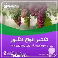 فروش هورمون اکسین ریشه زایی رایزوپون در سمنان در گروه خرید و فروش انواع کود کشاورزی در یکمیوه