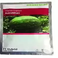 قیمت خرید بذر هندوانه آستاراخان در گروه خرید و فروش بذر هندوانه در یکمیوه