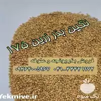 قیمت خرید بذر یونجه تضمینی در خرم‌ آباد در گروه خرید و فروش بذر یونجه در یکمیوه