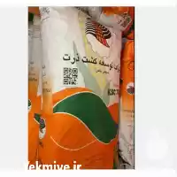 قیمت خرید بذر ذرت هیبرید سینگل در ارومیه در گروه خرید و فروش بذر ذرت در یکمیوه