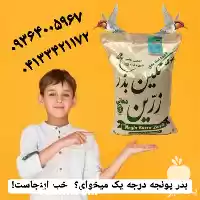 فروش بذر یونجه با ارسال سراسری در شیراز در گروه خرید و فروش بذر یونجه در یکمیوه