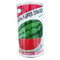 فروش عرضه بذر هندوانه دراگون در مشهد در گروه خرید و فروش بذر هندوانه در یکمیوه