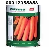 قیمت فروش بذر هویج نانکو اصل در مشهد در گروه خرید و فروش بذر هویج در یکمیوه