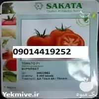 فروش گوجه فرنگی ساکاتا در تهران در گروه خرید و فروش گوجه فرنگی در یکمیوه