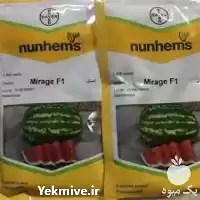 قیمت خرید بذر هندوانه میراژ رشد در اهواز در گروه خرید و فروش بذر هندوانه در یکمیوه