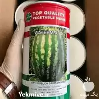 هندوانه ناسکو با قیمت مناسب پر در بوشهر در گروه خرید و فروش هندوانه در یکمیوه