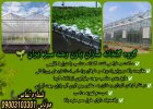 گروه گلخانه سازان پازن رشد سبز در تهران در گروه سازنده در یکمیوه