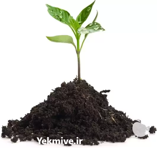 فروش کود کمپوست در گروه انواع محصولات خاک و تغذیه در یکمیوه -عکس1