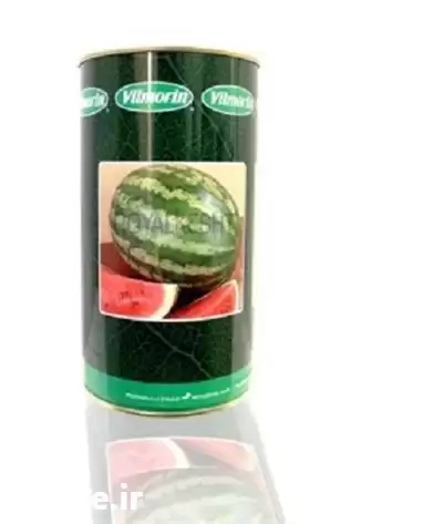 قیمت خرید بذر هندوانه ویلمورین در گروه خرید و فروش هندوانه در یکمیوه -عکس1