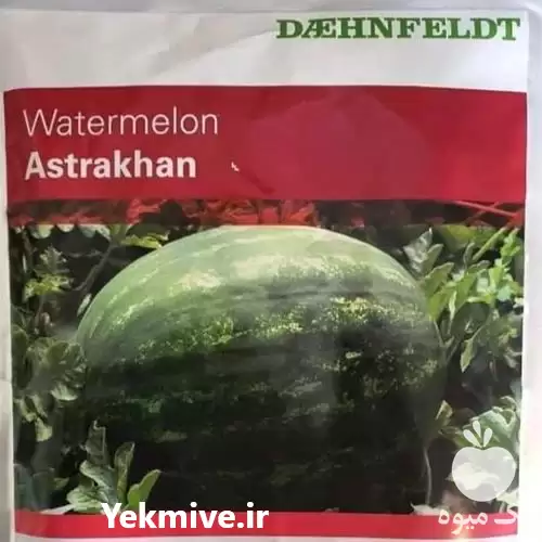 فروش بذر هندوانه آستاراخان بسیار در اهواز در گروه خرید و فروش بذر هندوانه در یکمیوه -عکس1