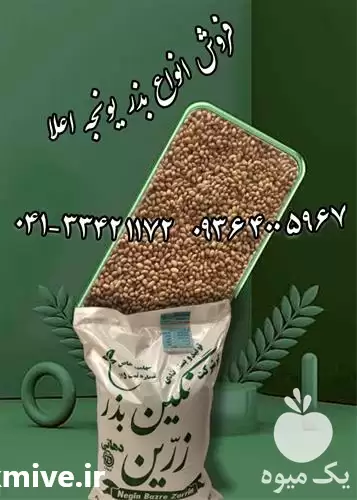 خرید فروش بذر یونجه علوفه پایه در گروه خرید و فروش بذر یونجه در یکمیوه -عکس1