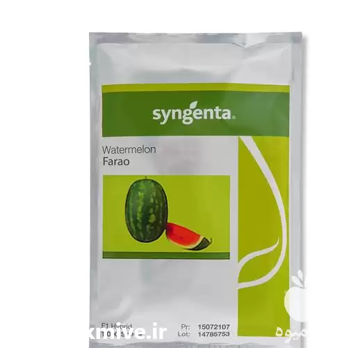 پخش و فروش بذر هندوانه فارائو در تهران در گروه خرید و فروش بذر هندوانه در یکمیوه -عکس1