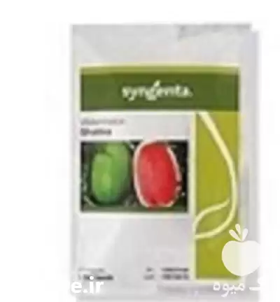 فروش بذر هندوانه گالاتا در یزد در گروه خرید و فروش بذر هندوانه در یکمیوه -عکس1