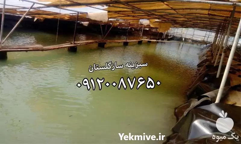 قیمت خرید پروژه مخازن پرورش میگو در گرگان در گروه انواع محصولات شیلات در یکمیوه -عکس1