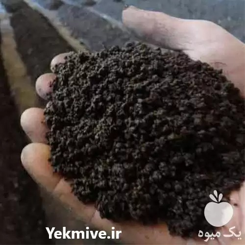 کود کمپوست مرغی در شیراز در گروه خرید و فروش انواع کود کشاورزی در یکمیوه -عکس1