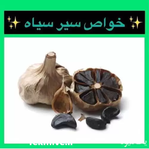 قیمت خرید محصولات فراوری شده سیر در اهواز در گروه خرید و فروش سیر در یکمیوه -عکس1