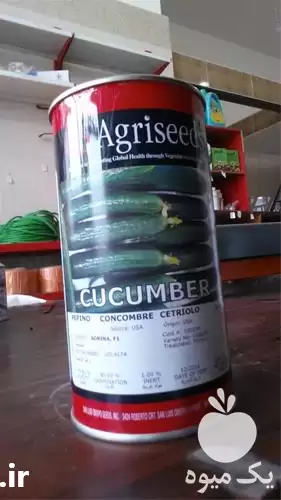 قیمت خرید بذر خیار هیبرید فضای در تبریز در گروه خرید و فروش بذر خیار در یکمیوه -عکس1