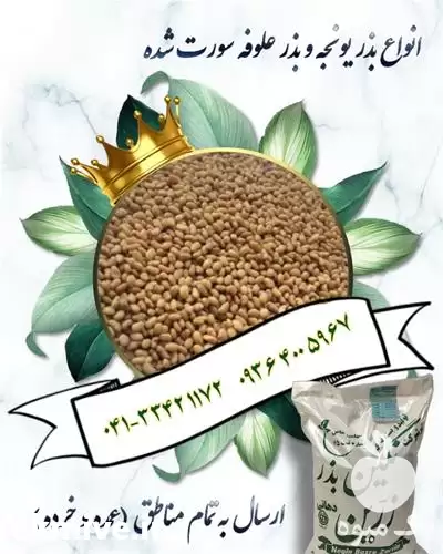 فروش بذر یونجه رنجر در ایلام در گروه خرید و فروش بذر یونجه در یکمیوه -عکس1