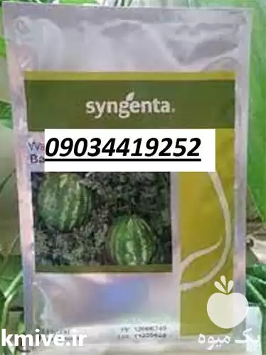 بذر هندوانه باراکا پر فروش اصل در کرمانشاه در گروه خرید و فروش هندوانه در یکمیوه -عکس1