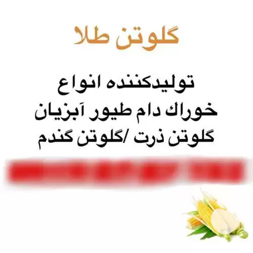 فروش خوراک زنبور عسل در تهران در گروه خوراک دام و طیور در یکمیوه -عکس1
