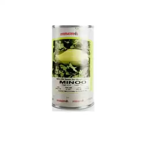 فروش بذر خربزه خاتونی مینو هلندی در تبریز در گروه خرید و فروش بذر خربزه در یکمیوه -عکس1