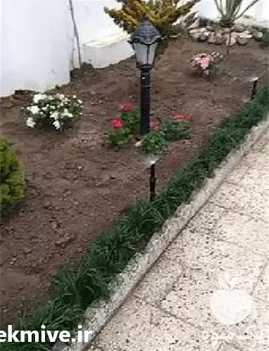 آبیاری قطره ای هوشمند در گروه سازنده در یکمیوه -عکس1