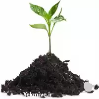 فروش کود کمپوست در گروه انواع محصولات خاک و تغذیه در یکمیوه