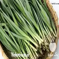خرید بذر تره با قیمت ارزان در تهران در گروه خرید و فروش انواع بذر در یکمیوه