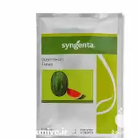 پخش و فروش بذر هندوانه فارائو در تهران در گروه خرید و فروش بذر هندوانه در یکمیوه