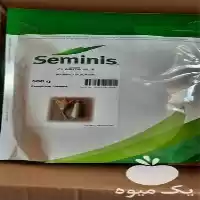 فروش بذر کدو کلاریتا پاکتی در شیراز در گروه خرید و فروش بذر کدو در یکمیوه