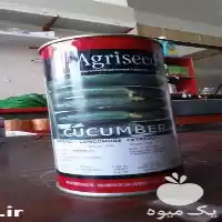 قیمت خرید بذر خیار هیبرید فضای در تبریز در گروه خرید و فروش بذر خیار در یکمیوه