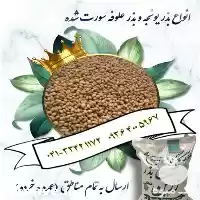 فروش بذر یونجه رنجر در ایلام در گروه خرید و فروش بذر یونجه در یکمیوه