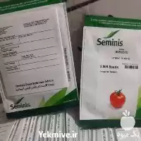 فروش توزیع بذر گوجه فرنگی برنتا در بوشهر در گروه خرید و فروش بذر گوجه در یکمیوه