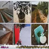 قیمت خرید محافظ نهال در ارومیه در گروه خرید و فروش نهال در یکمیوه