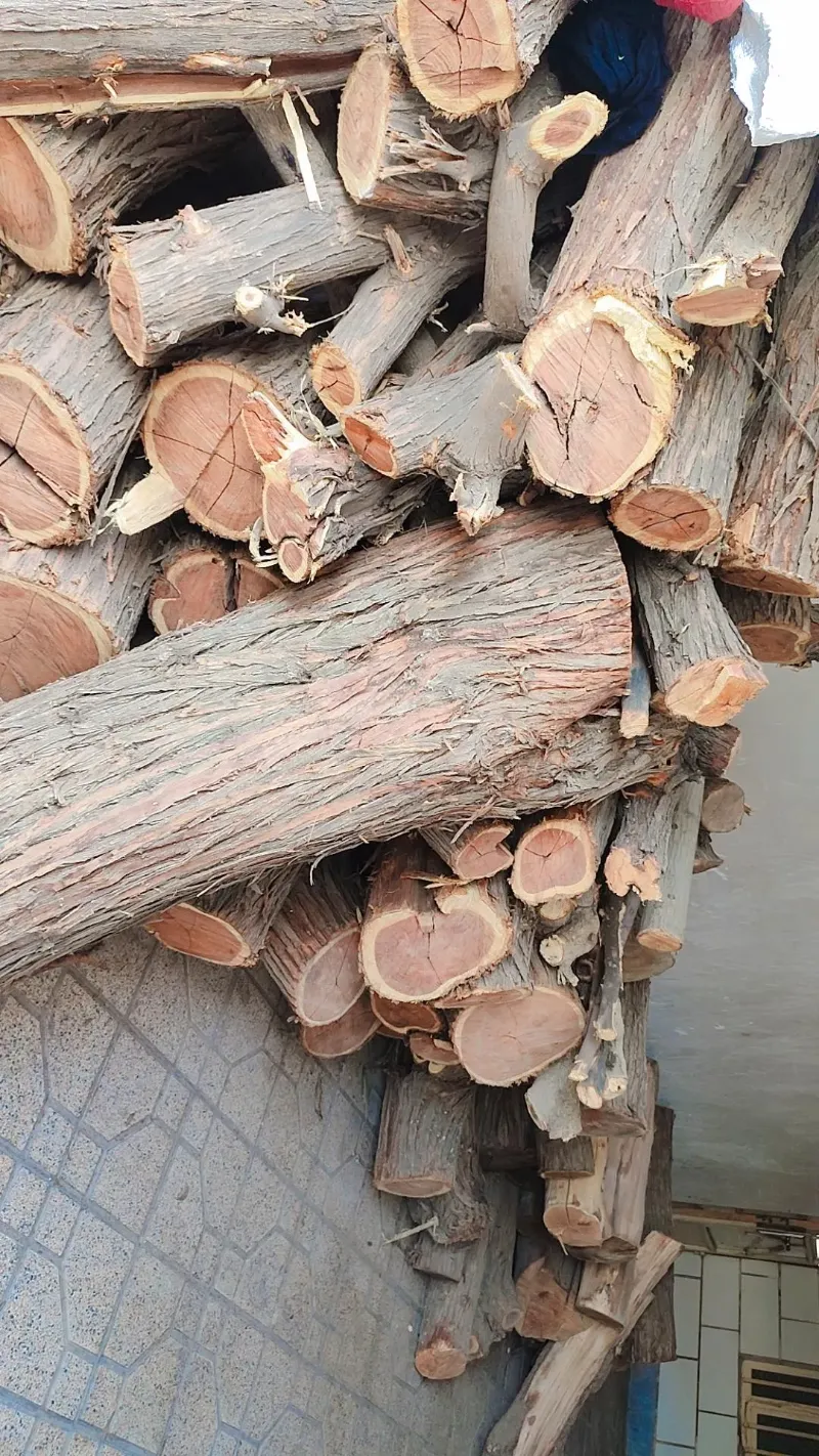فروش چوب کهور خشک اماده خراطی در ایذه در گروه مغازه در یکمیوه